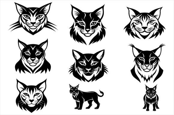 Cat Vector Illustration Art Design Review