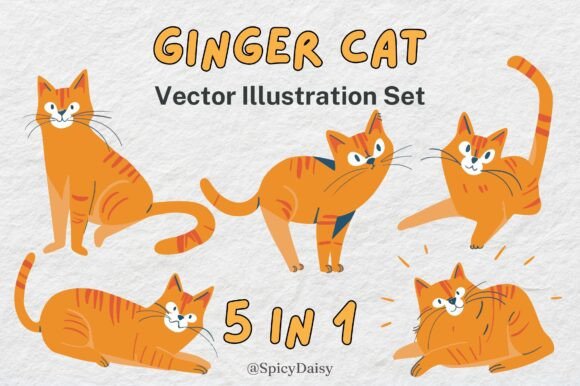 Ginger Cat Vector Illustration 5 in 1 Review
